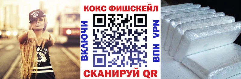 COCAIN Fish Scale Суджа