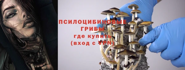 дурь Магас