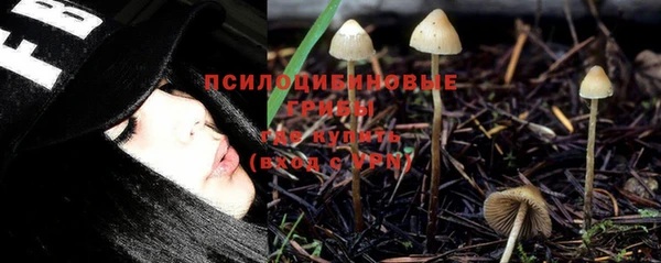 дурь Магас