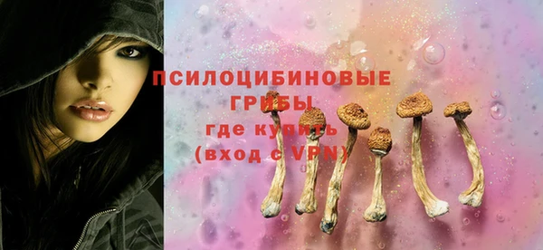 дурь Магас