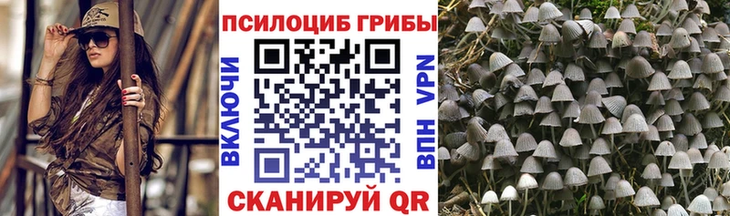 Галлюциногенные грибы MAGIC MUSHROOMS  Суджа 