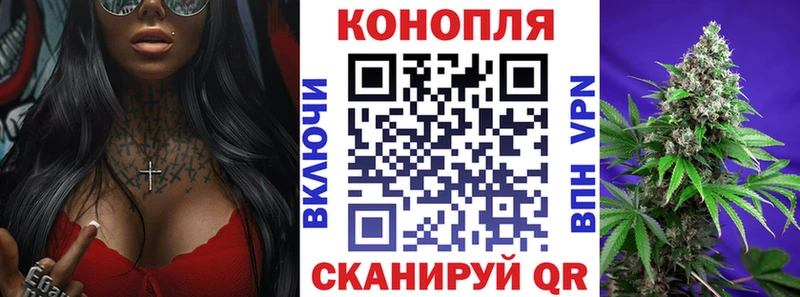 Шишки марихуана сатива  Суджа 